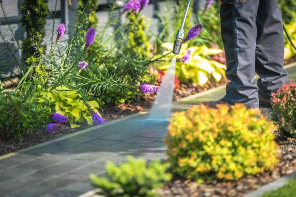 Best Concrete Surface Cleaning in Central City, IA