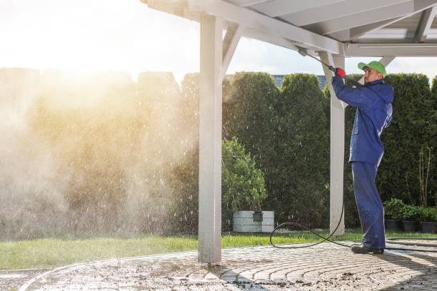 Best Graffiti Removal Services in Central City, IA