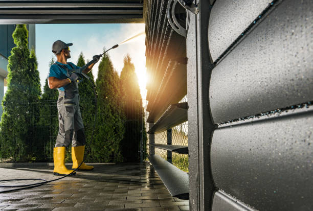 Best Soft Washing for Delicate Surfaces in Central City, IA